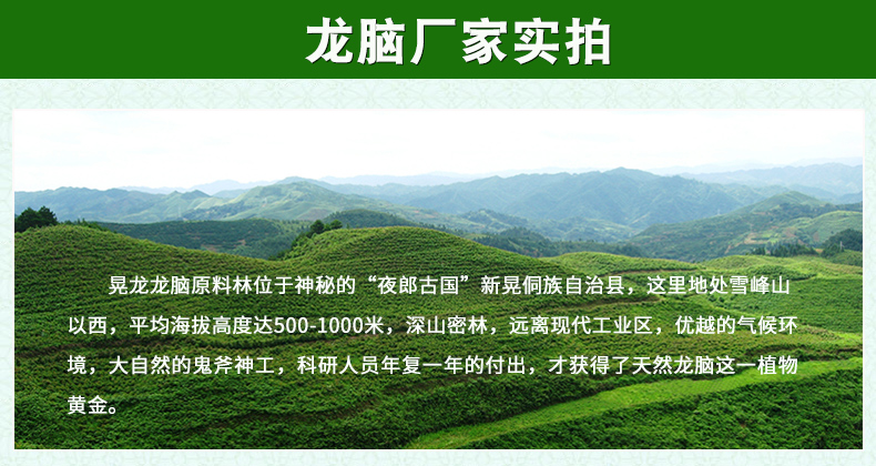 天然龙脑喷雾